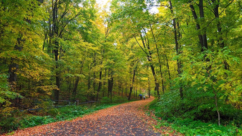 Purple Woods Conservation Area