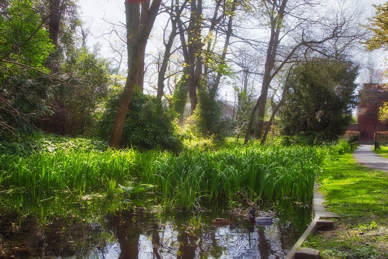 Sutton Ecology Centre Grounds