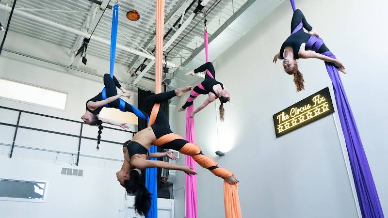 The Circus Fix