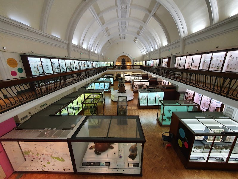 Plonk Crazy Golf - The Horniman Museum and Gardens