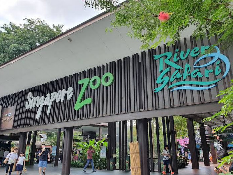 Singapore Zoo