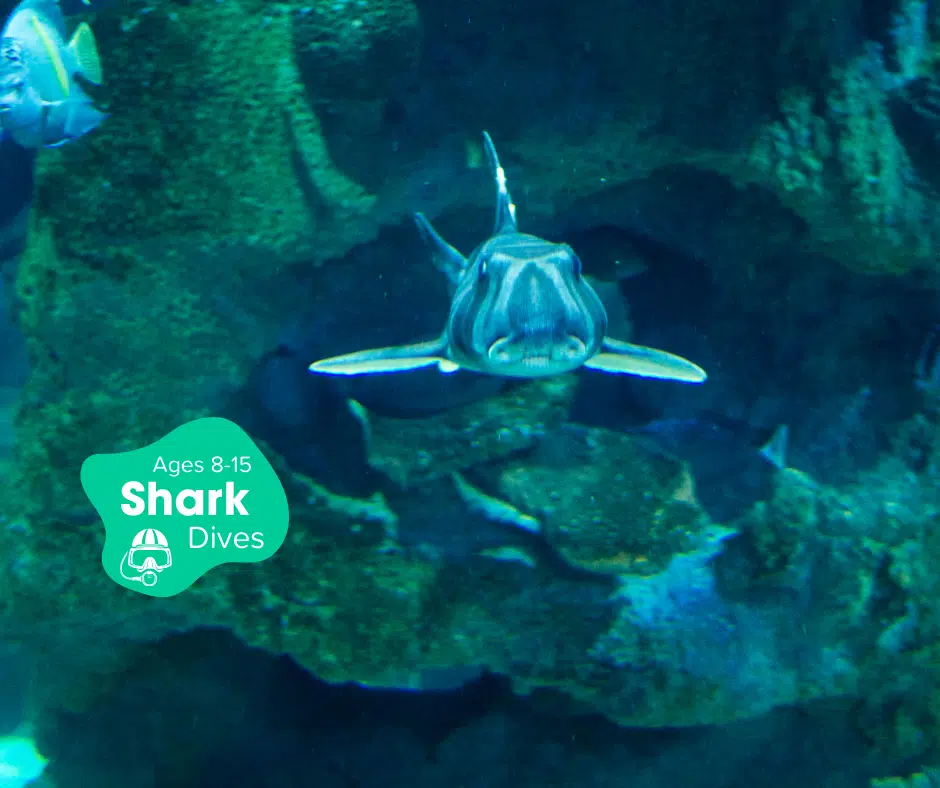 Blue Planet Aquarium