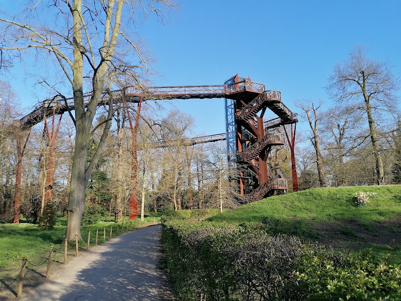 Treetop Walkway