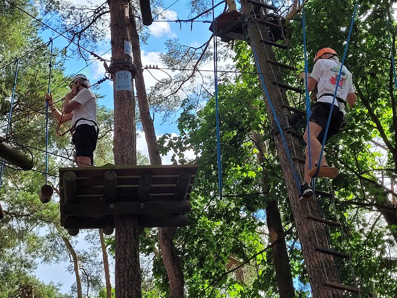 Rope Park Toucan
