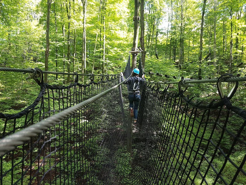Treetop Adventure Course