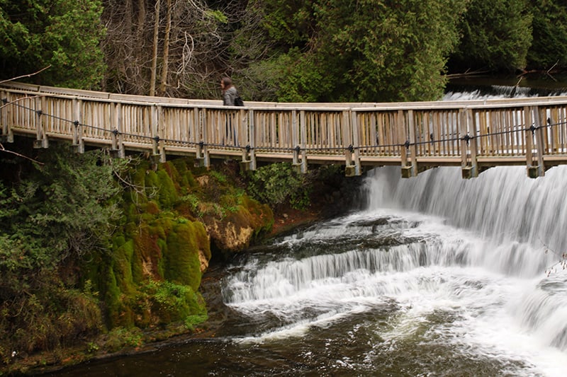 Belfountain Conservation Area