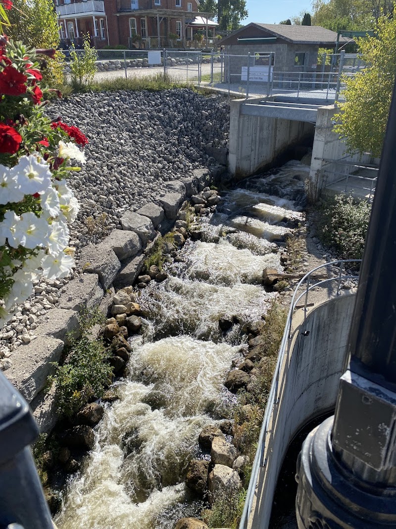 The Fishway