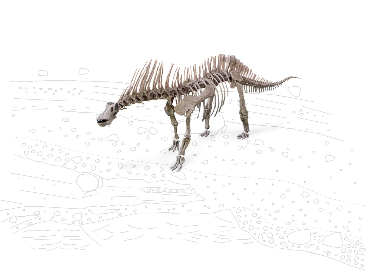 Egidio Feruglio Paleontological Museum