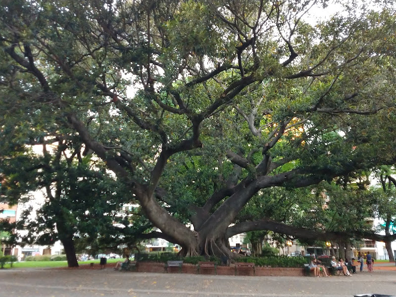 Plaza Vicente Lopez