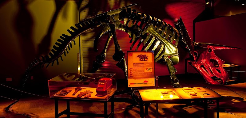 Reading Museum