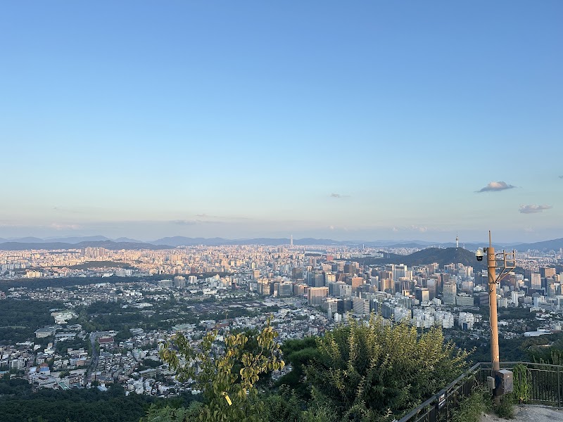 Honey and Seoul