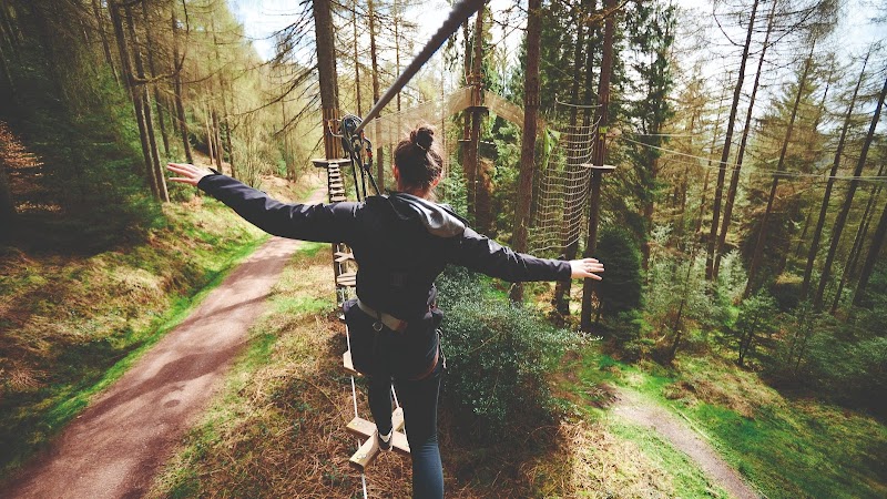 Go Ape Haldon (Treetop Challenge, Zip Lines, High Ropes)