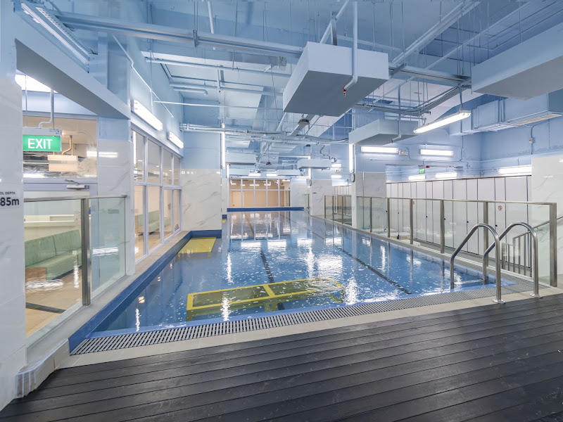 Little Splashes Aquatics - Balestier