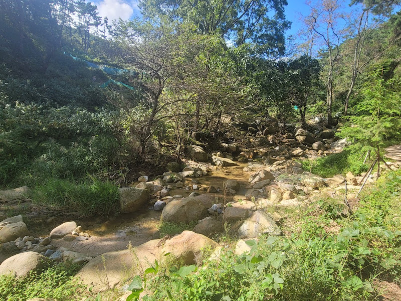 감나무골공원