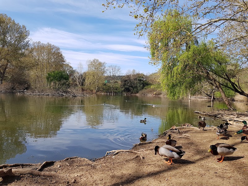Balsa de los patos
