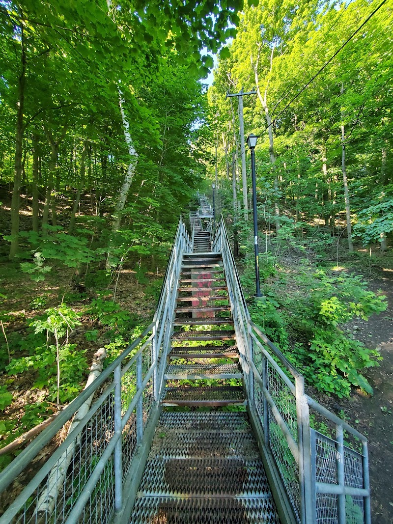 Chedoke Stairs