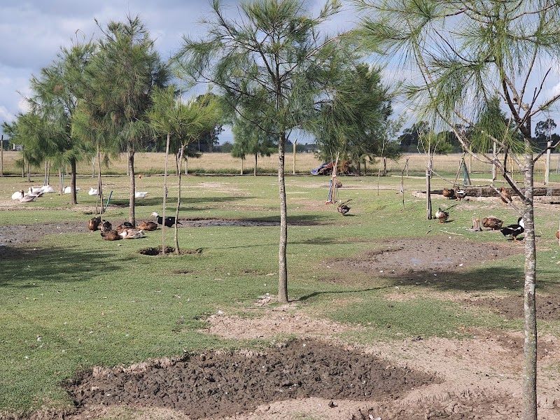 Granja Villanova