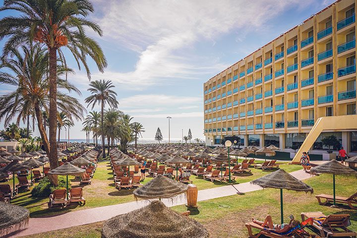 Evenia Zoraida Garden