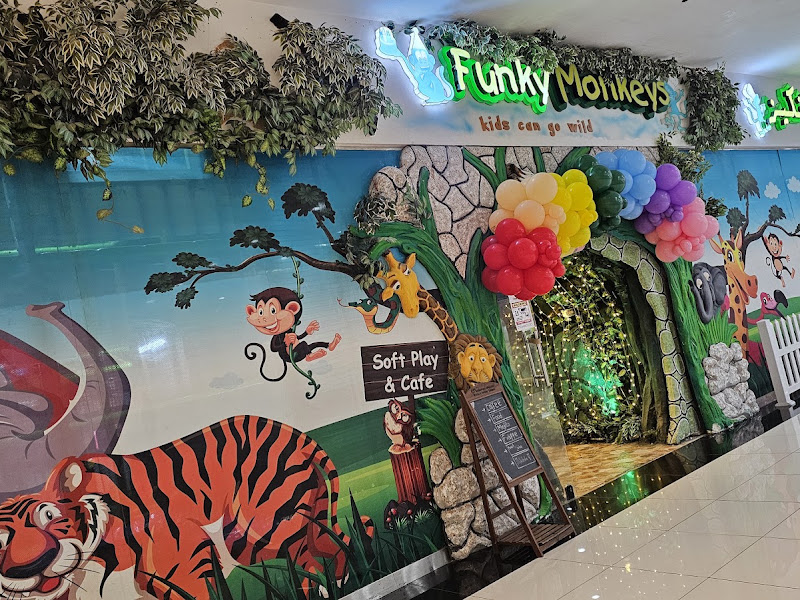 Funky Monkeys Playland