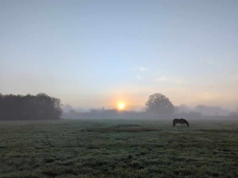 Yew Tree Farm School C.I.C.