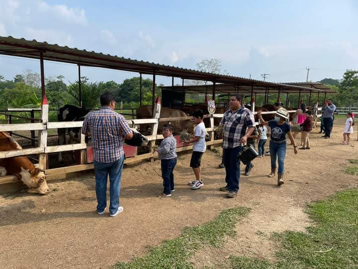Granja Pony Ranch