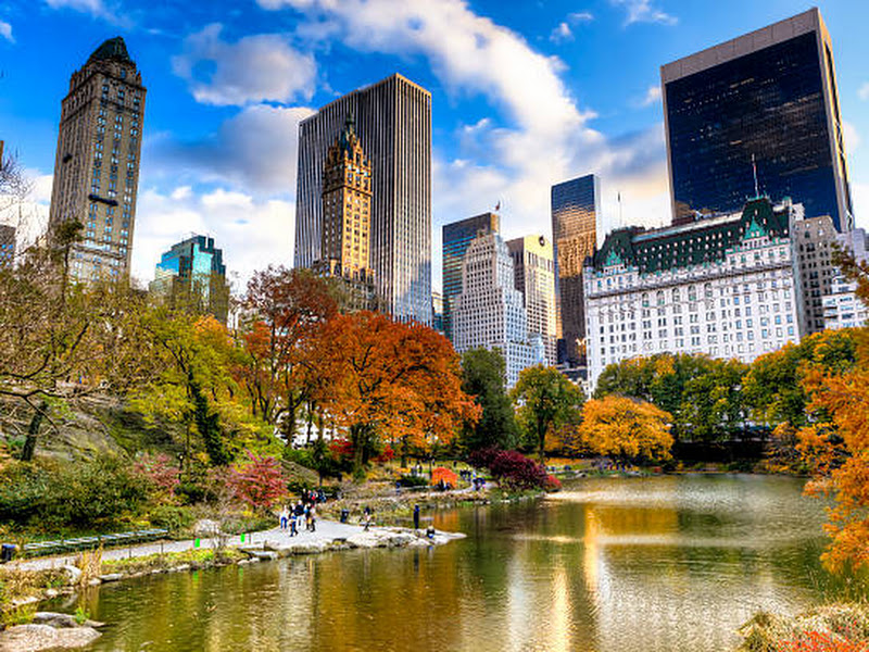 Central Park