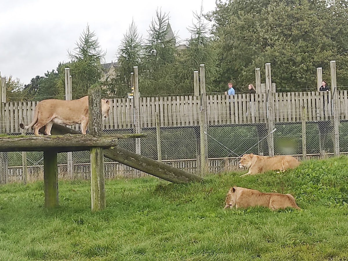 Blair Drummond Safari Park