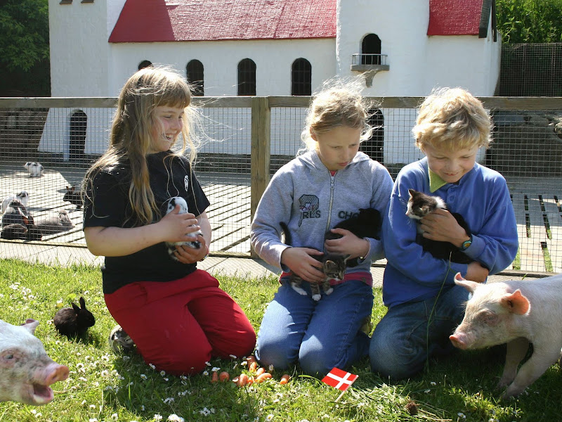Family Farm Fun Park