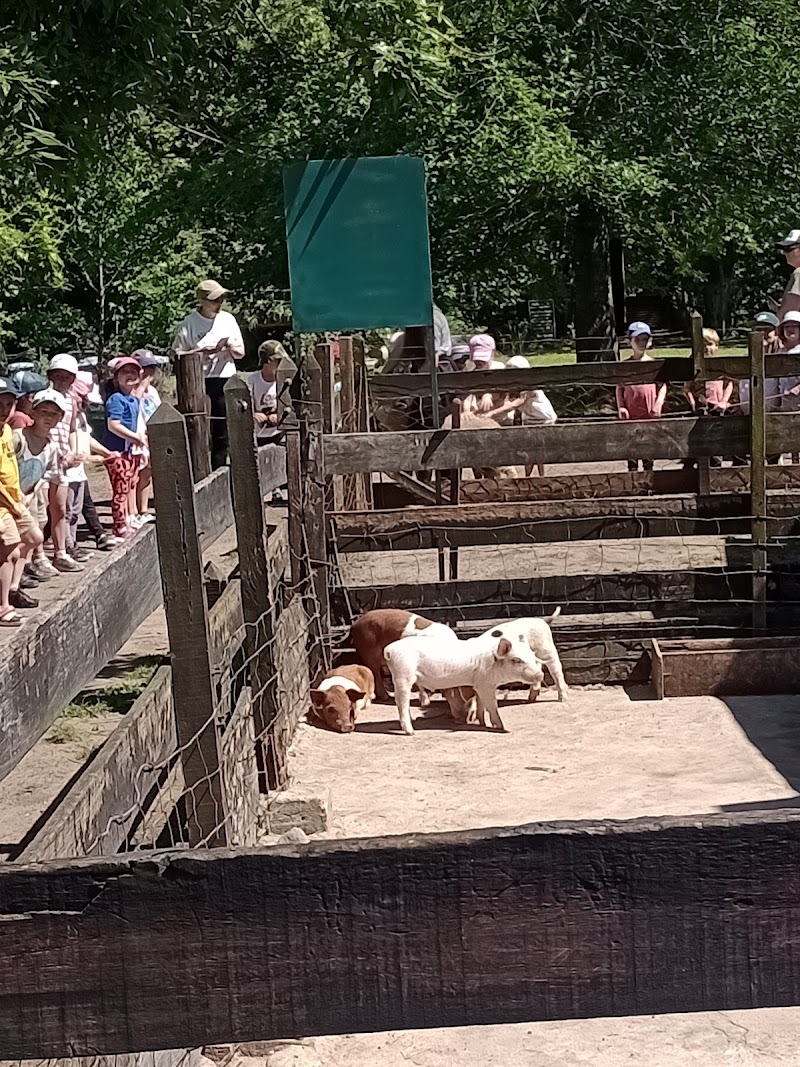 Granja Agreste