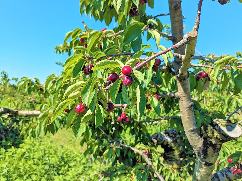 Red Barn Fruit Farm