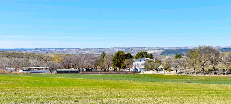 La Granja Madrid, granja escuela y Ability Training Center