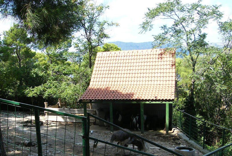 Prirodoslovni Muzej I Zoološki VRT - Split
