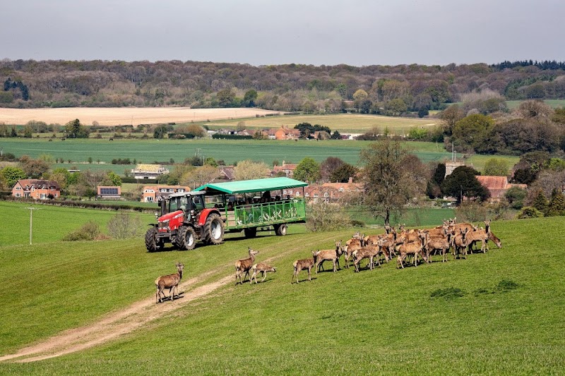 Bucklebury Farm & Deer Safari Park
