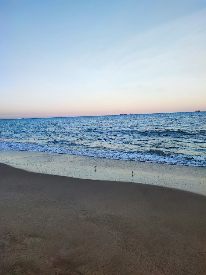 Platja del Saler