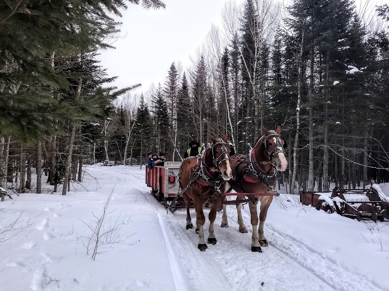 Great Northern Adventure