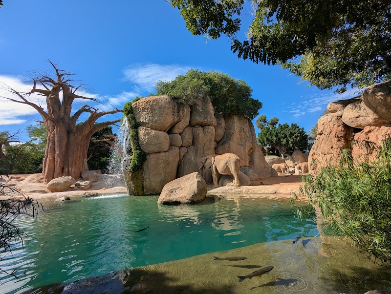 Valencia Bioparc