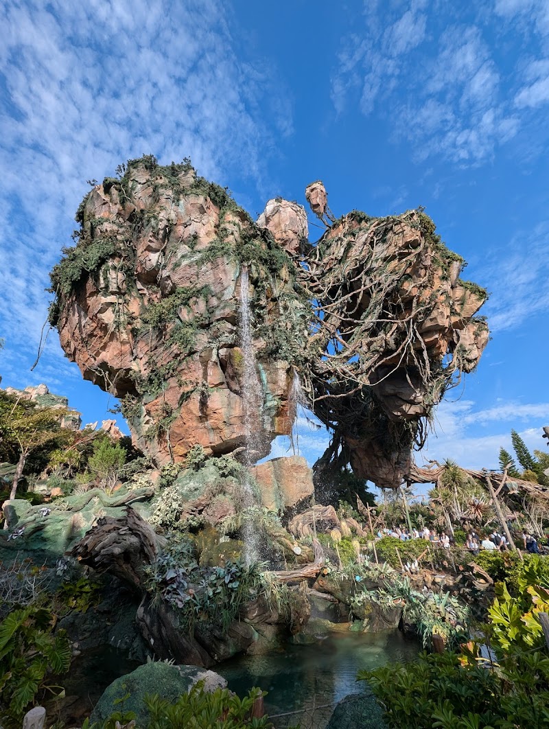 Avatar