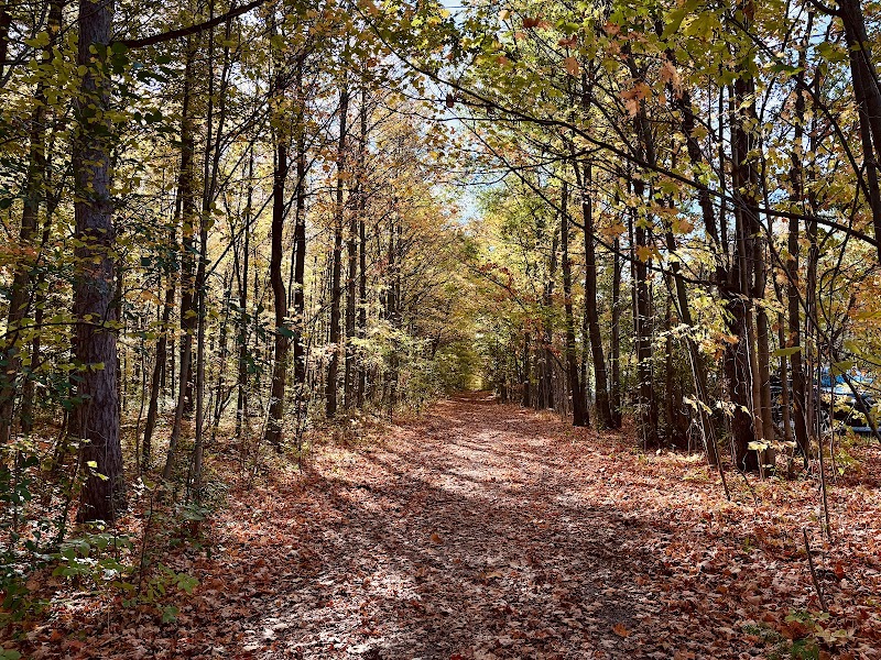 Eldred King Woodlands, North-West Trailhead