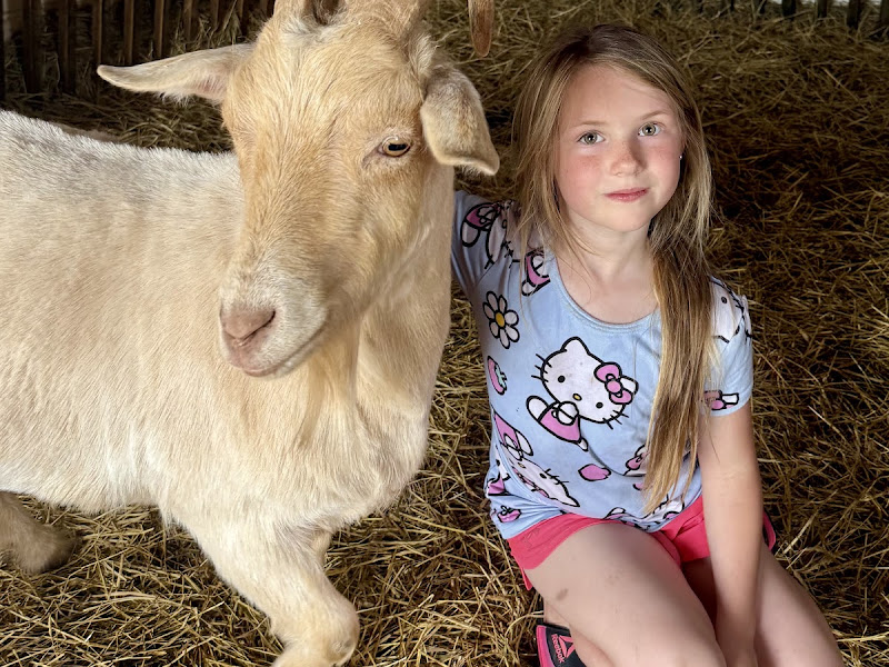 Cavendish Petting Farm