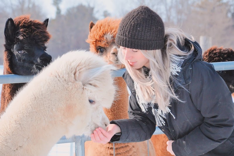 Brae Ridge Farm & Sanctuary