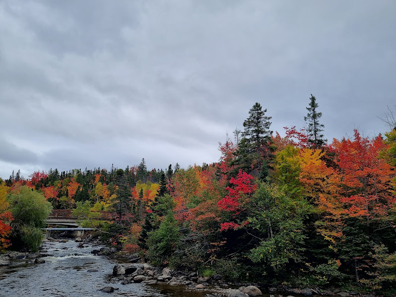 Margaret​ Bowater Park