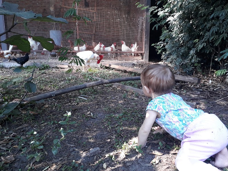 Farm La Aurora