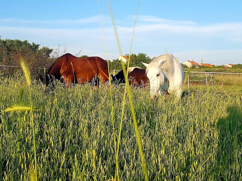 Unicorn Stable Škabrnja