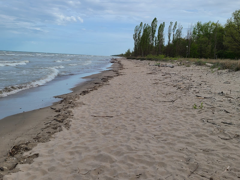 Rondeau Provincial Park