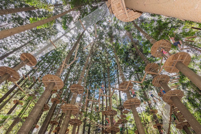 TreeTops Sydney - The Hills
