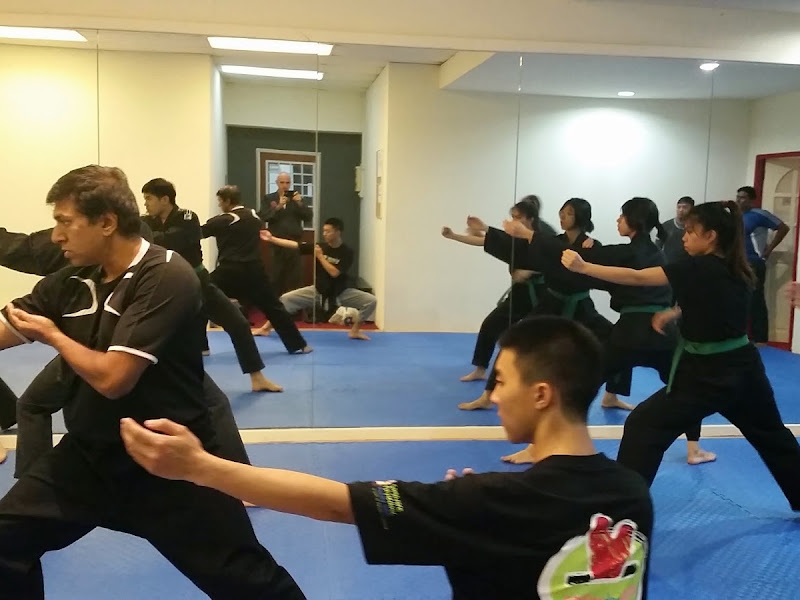 Singapore Ninjutsu