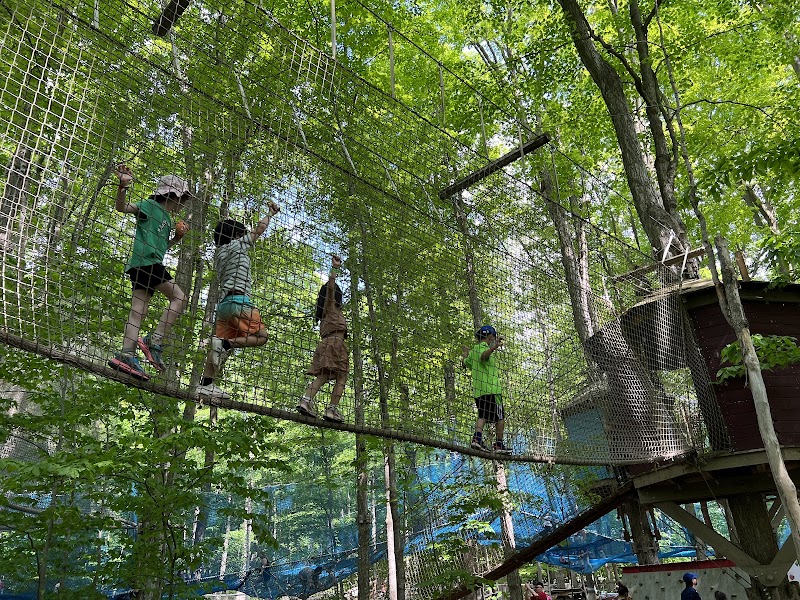 Treetop Trekking Stouffville