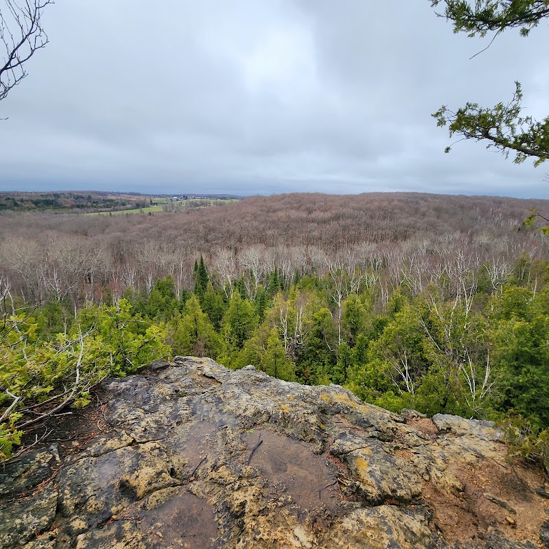 Nottawasaga Bluffs Lookout
