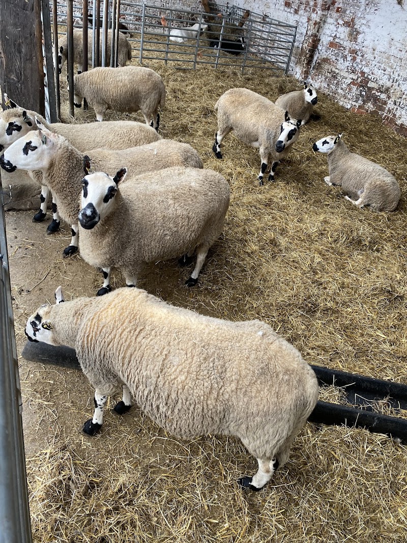 Croxteth Petting Farm