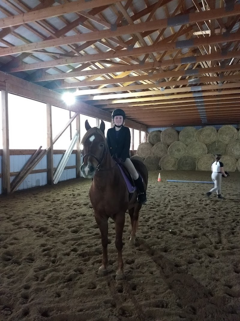 Miron Valley Stable & Riding School